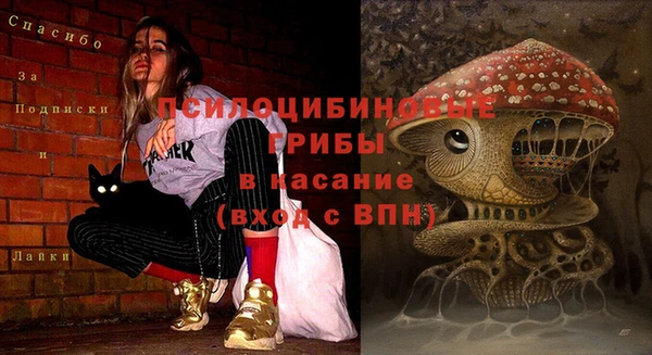 гашиш Абаза