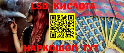 индика Усть-Илимск