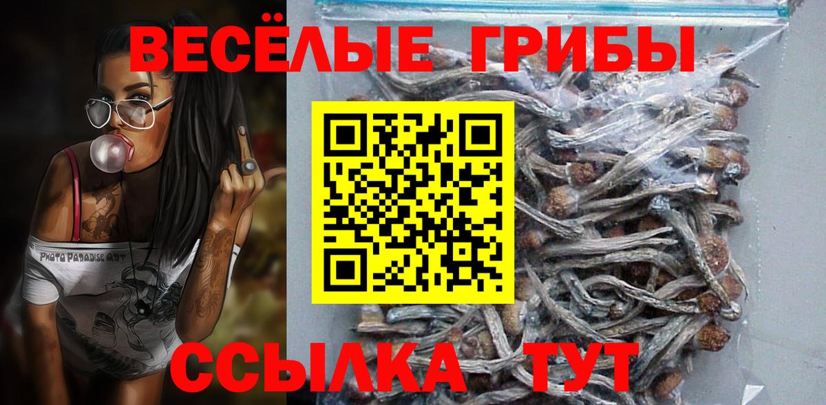Стерлитамак  Галлюциногенные грибы Cubensis  Вход с VPN 