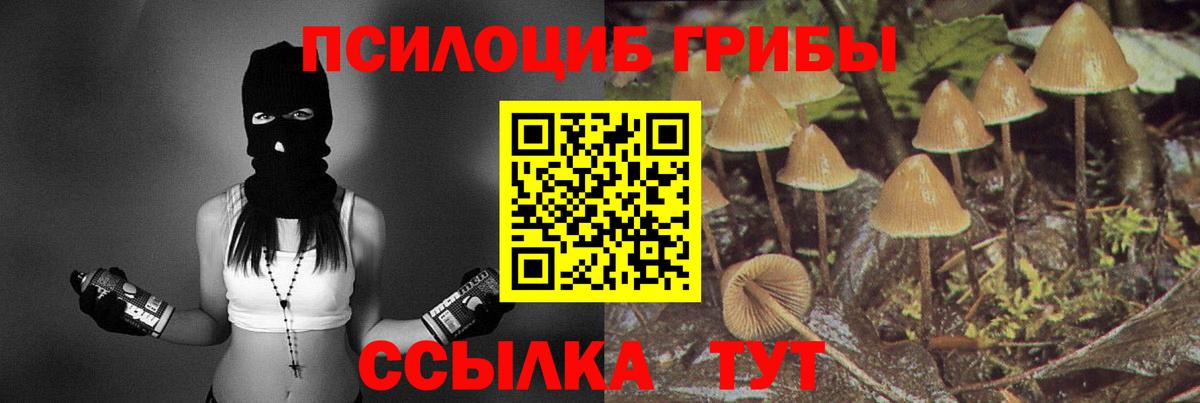 Псилоцибиновые грибы GOLDEN TEACHER Стерлитамак